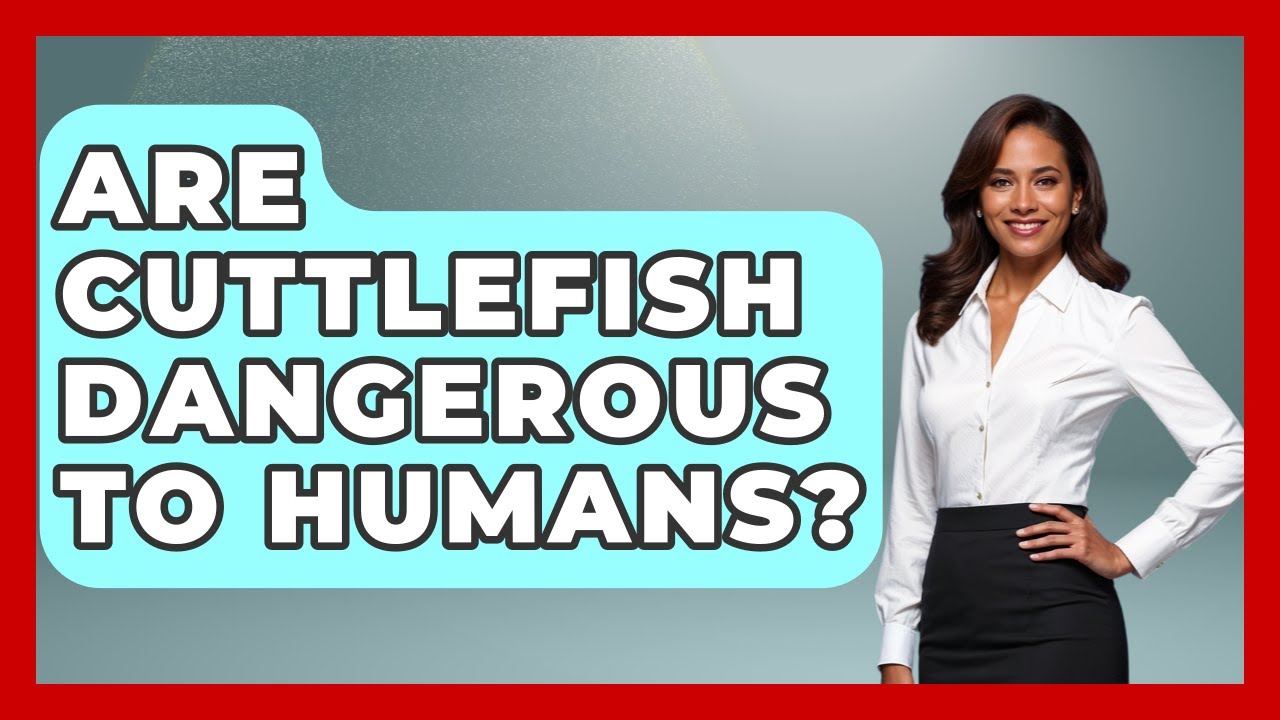 Are Cuttlefish Dangerous To Humans? - The Marine Life Explorer