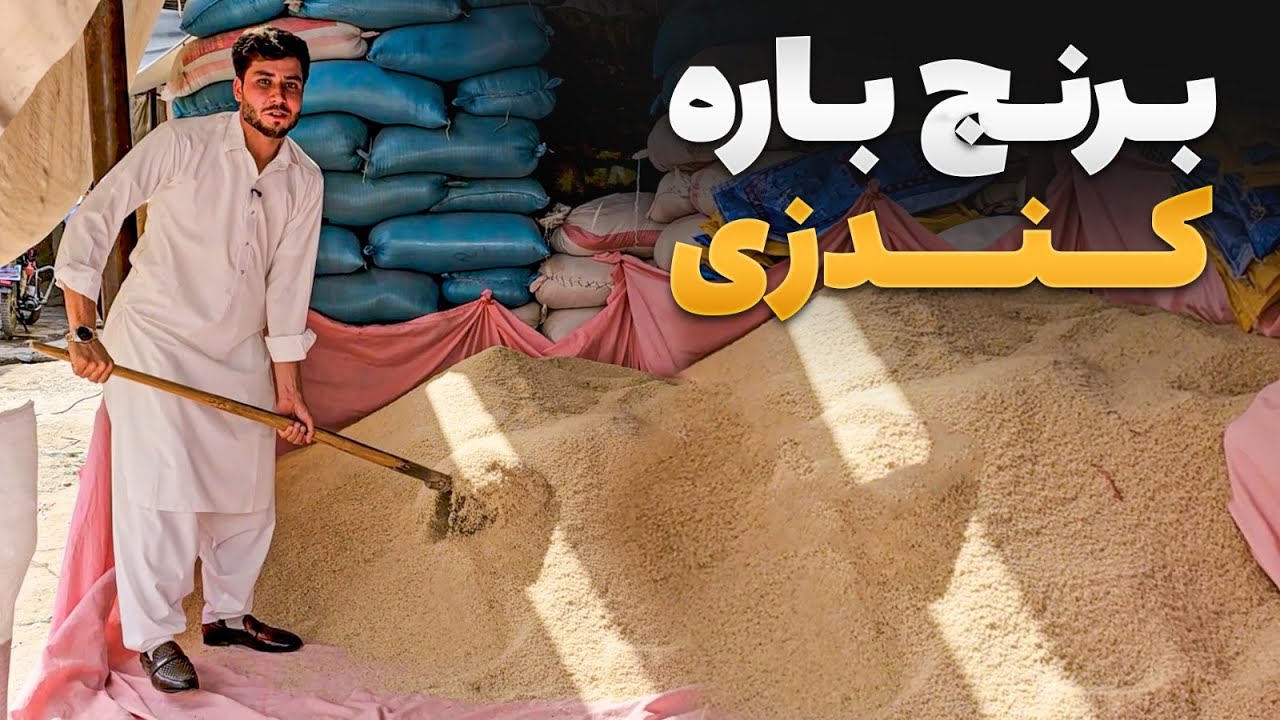 سفر با ظفر - دیدار سمیع الله ظفر از بزرگترین مندوی برنج درجه اول افغانستان