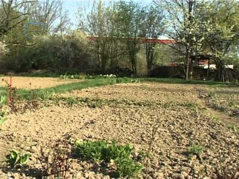 Video: Gradski Vrtovi