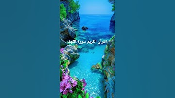 القارئ الشيخ عامر الكاظمي #العراق # الجزائر #فرنسا #مغرب#راحة_نفسية