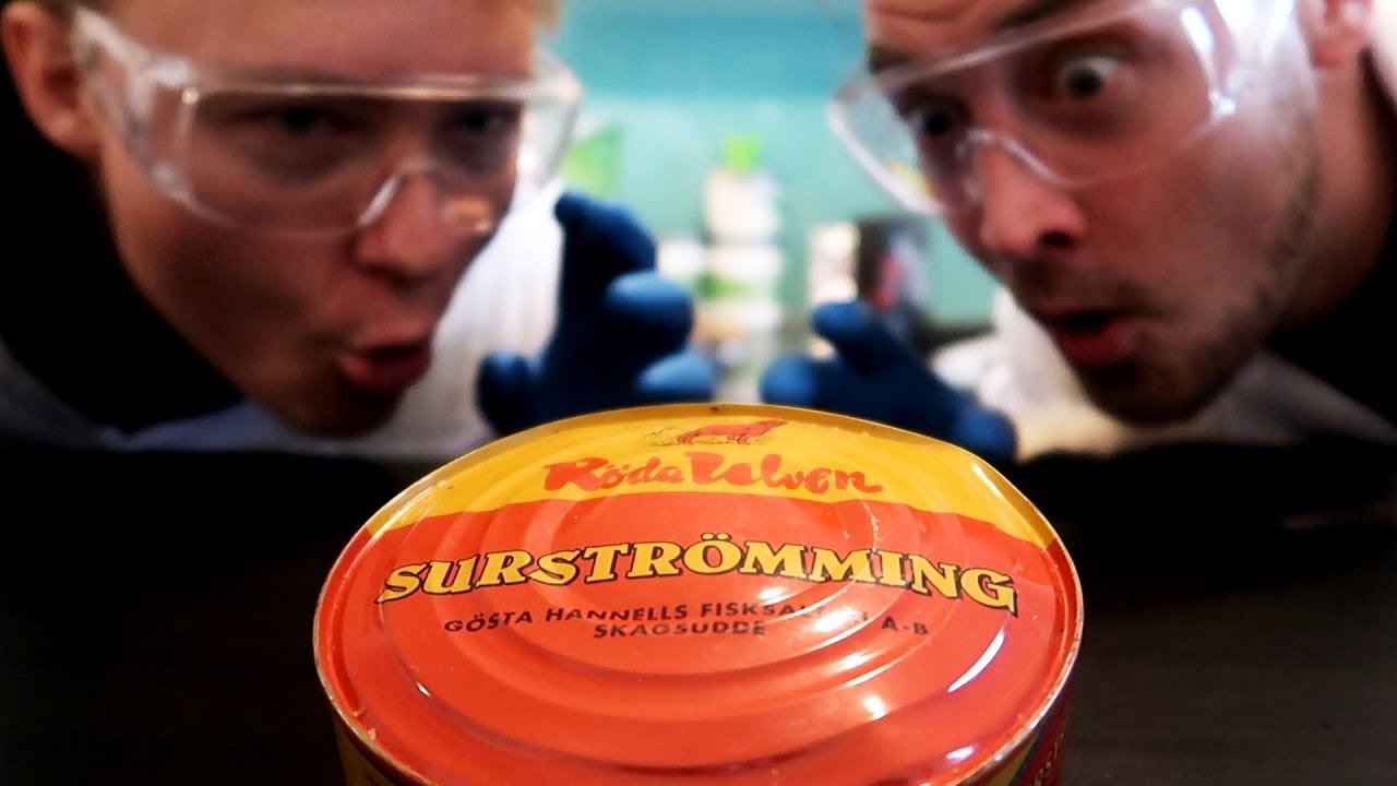 SURSTRÖMMING TESTEN🤢  GAMMELFISCH aus der DOSE 