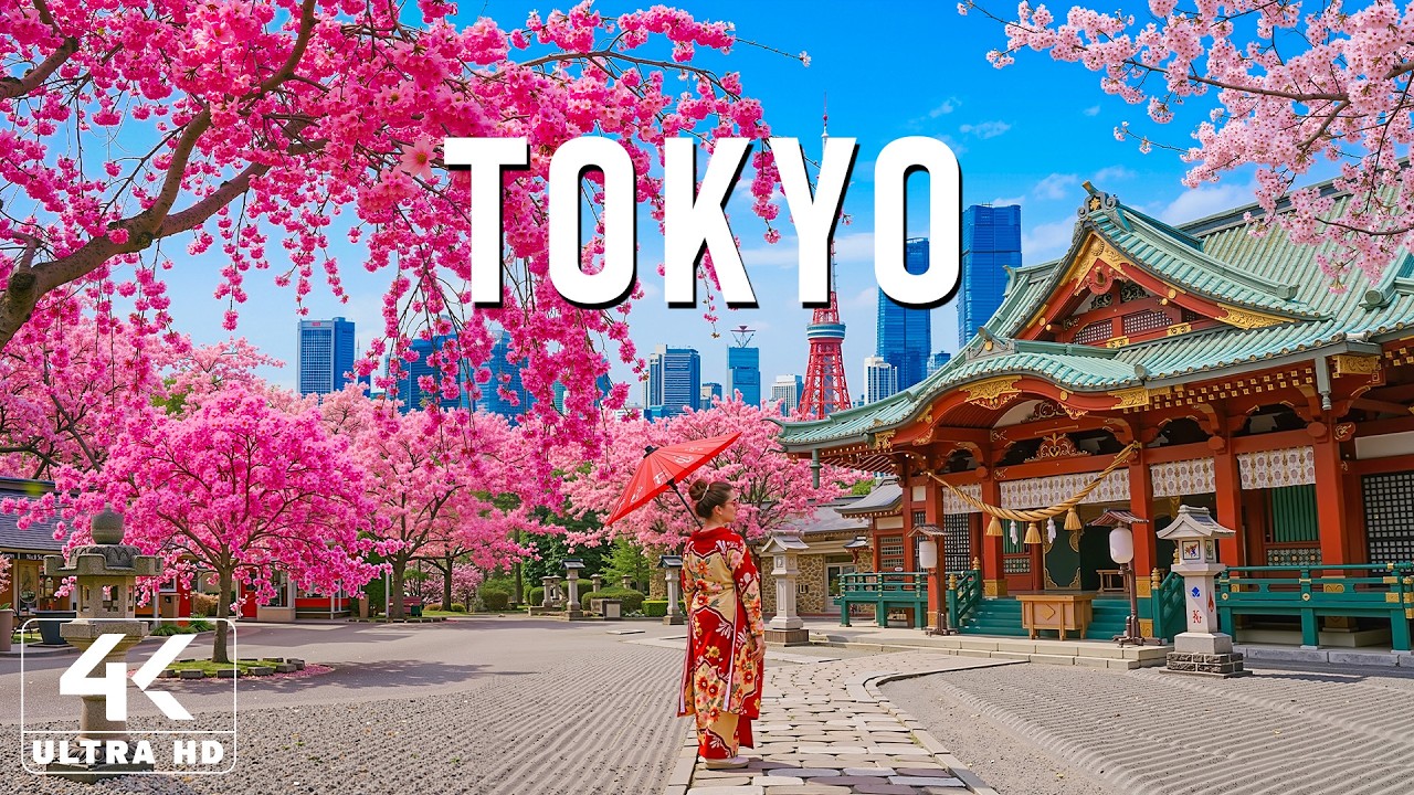 Tokyo, Japan 4K 🌸 Magic of the Spring Blossoms – Pink Sakura