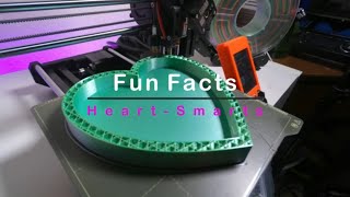 Heart Box Timelapse-3D Printed-Fun Facts