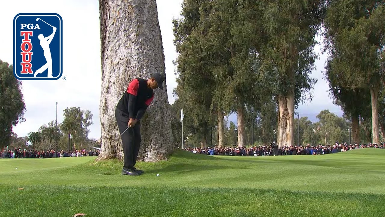 Watch in AMAZEMENT some of Tiger Woods' insane shots during the PGA Tour