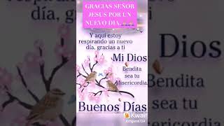 BUENOS DIAS BENDICIONES FELIZ DIA 🙏🏻🙏🏻😇😇 screenshot 1