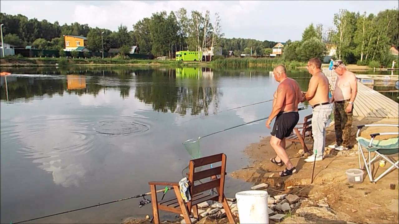 Рыбалка в коргашино. Рыбалка в Каргашино Пирогово. Платная рыбалка в Пирогово. Пирогово, деревня Коргашино. Каргашино платная рыбалка.