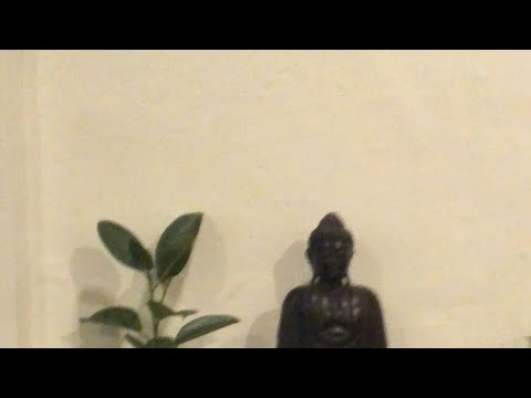 Real Happiness Meditation: Building a Daily Practice