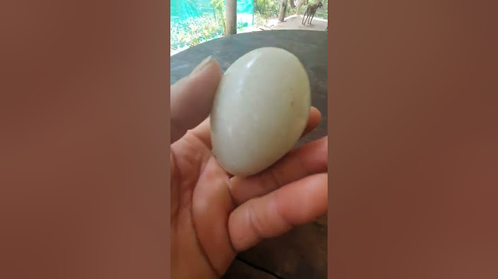 trứng vịt hoá thạch