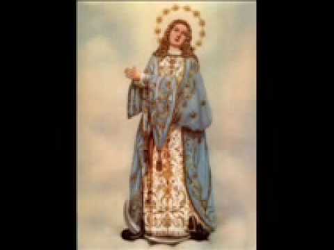 O Concetta Immacolata