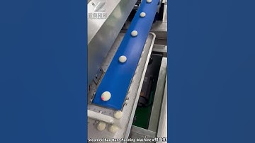 Steamed Bao Buns Panning Machine,Automatic steamed bun Aligning Machine,Momo Machine #自动排盘机