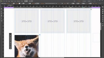 How to add more images to portfolio 05 | WILD Muse Template