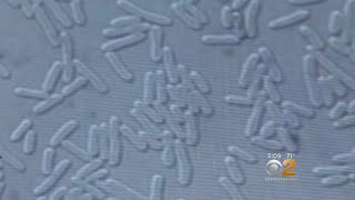 1 Dead In Upper Manhattan Legionnaires' Outbreak