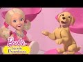 Episodio 56: Estética para mascotas | @Barbie en Español