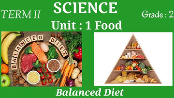 TN Samacheer Science class 3/ Term 2 Unit 1: Balanced Diet