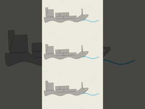 Shorts Mola Mola S Can Slow Down Ships Fyp Molamola Nature Wildlife Naturelover Nope Boat Anim