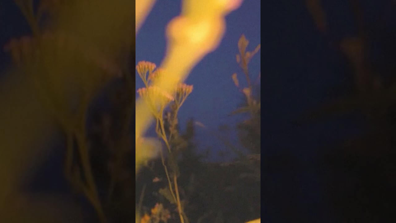 First music video «Запах мяты» OUT NOWWWWWWW 