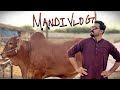 KARACHI COW MANDI 2020 | MEMES EDITION | VLOG