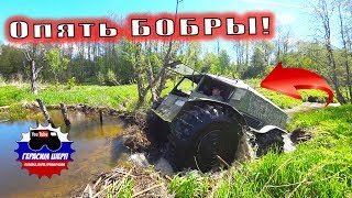 Брошенки... Чердачный коп! Лось, кулацкий дом, поддоны из БАМБУКА! Брошенки... Чердачный коп! Лось, кулацкий дом, поддоны из БАМБУКА!