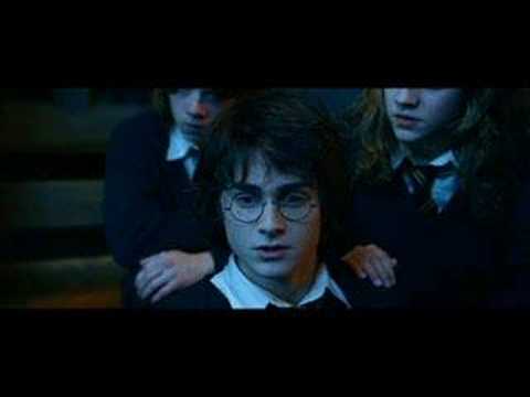 Harry Potter & Hermine Granger