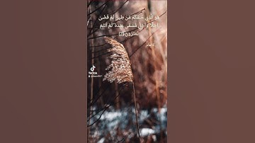 مطلع سورة الأنعام تلاوة الشيخ خالد القحطاني HOLY QURAN
