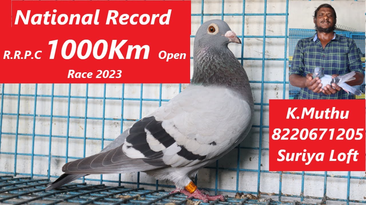 1000km Open Race NATIONAL RECORD Mr.K.Muthu