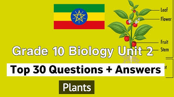 Top 30 Questions from Grade 10 Biology unit 2 Plants :- Questions and answers