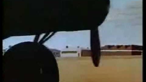 Quonset Huts in Bugs Bunny