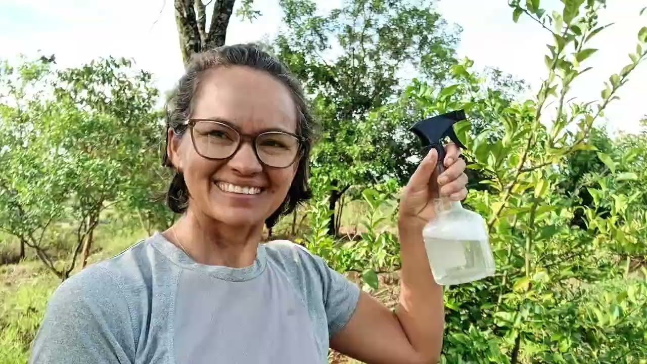 Mistura caseira para eliminar lagartas/ adubação das plantas. 