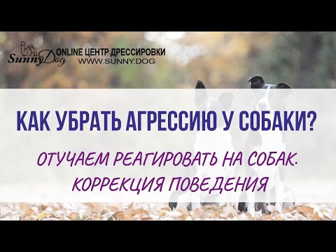 Вебинар "Приемы снятия агрессии у детей" - YouTube
