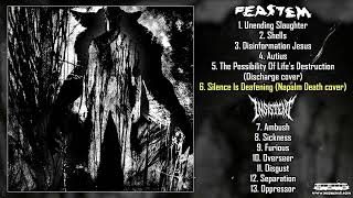 Feastem / Insistent - split LP FULL ALBUM (2023 - Grindcore)