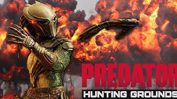 Predator Hunting Grounds EP 81: Falconer Fun