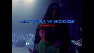 Dobry Dzieciak - JAK RYBA W WODZIE ft. Kubańczyk x Kizo (BASSBOSTED)
