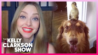 Amanda Seyfried's Dog Is BFFs With A Baby Duck
