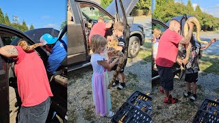 Watch: Massive snake rescued from car’s dashboard in Union County
