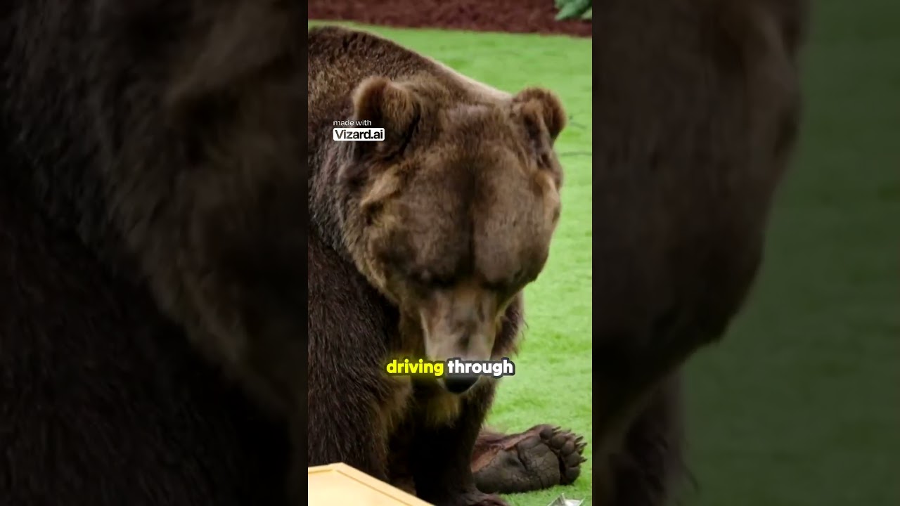 7 Death Traps for $500 000 Challenge