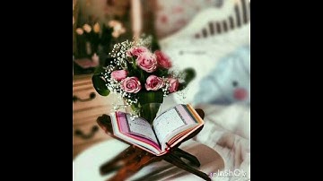من أجمل ما قرأ القارئ أمين موسى. ج٣٢