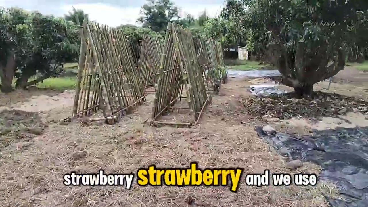 𝐄𝐒𝐂 𝐆𝐋𝐎𝐁𝐀𝐋 𝐢𝐧 𝐀𝐜𝐭𝐢𝐨𝐧!