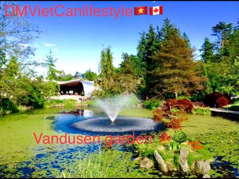 Video: Vườn bách thảo VanDusen ở Vancouver