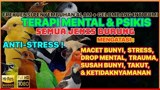 🔴 AUDIO TERAPI MENTAL SEMUA JENIS BURUNG AGAR GACOR [NDUWUR GALENG BIRD THERAPHY]