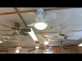 Ceiling fan display 5