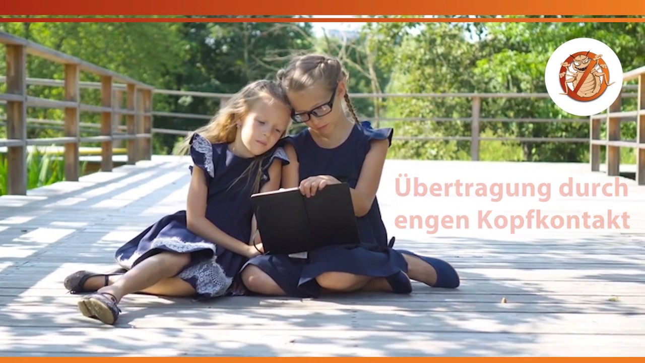  Kopfläuse-Ansteckung: Wie bekommt man Läuse? Wege der Läuse-Übertragung 