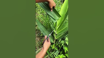 scissors High Performance Hardware Tools Good Tools For Recommendations #shortsfeed