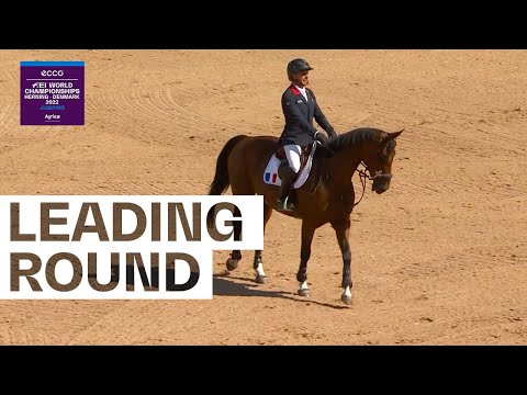 Julien Epaillard fastest on day one | ECCO FEI World Championships 2022