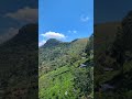 දෙණියාය රක්වාන මාර්ගයේ අලංකාරය ✨️💚🌿 මේවගේ සුන්දර රටක් වෙන කොහෙද 🤩 #fypシ #travel #fypシ゚viral #nature