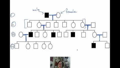 Introduction to Pedigrees