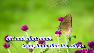 001123 Mèo Hoang   Vũ Duy chords