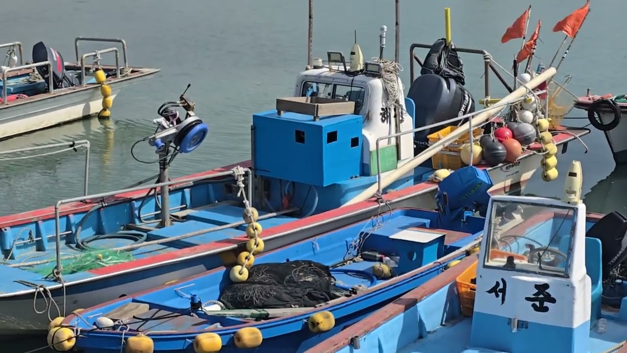 녹동  고기반 물반