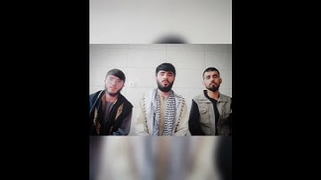 مقطع من سورة البلد جميعا