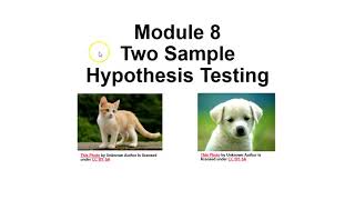 Famous Module 8 Two Sample Hypothesis Testing for Proportions Net Worth