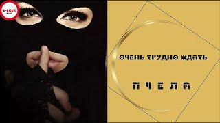 Пчела - Очень трудно ждать.